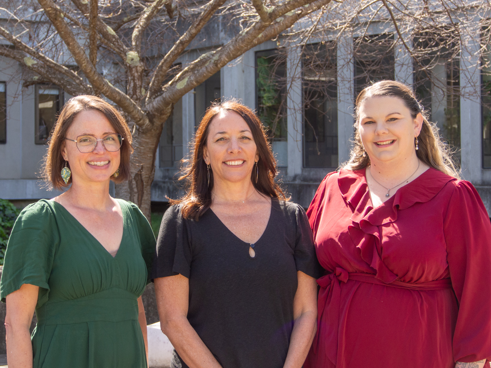 The CalWORKS Employment Services Team
