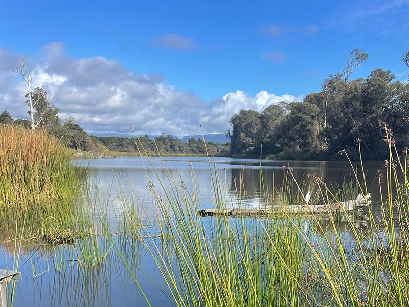 Collaborative Planning